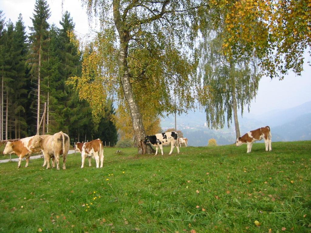 Ferienwohnung Am Oberrainerhof Arriach Luaran gambar